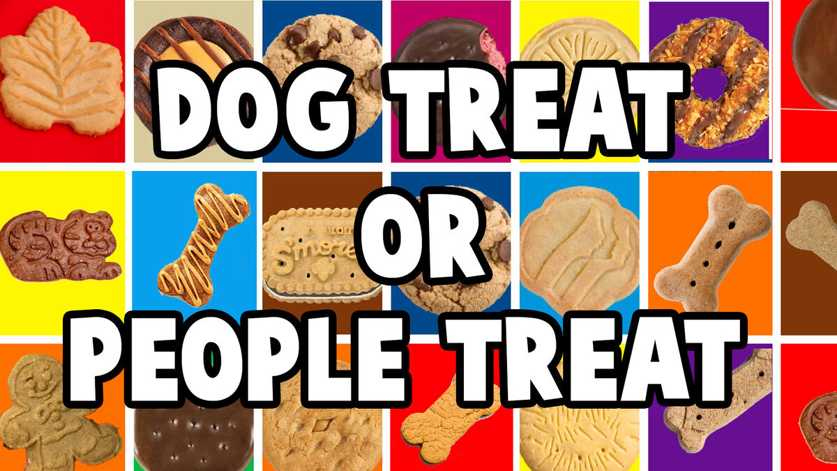 Dog Treat or People Treat image number null